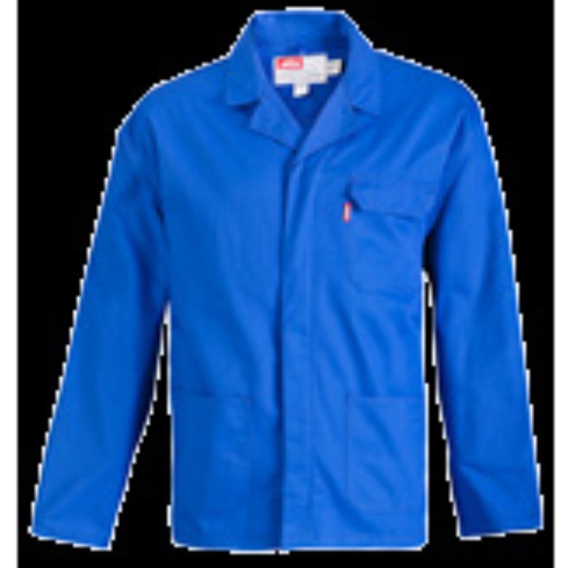 Plain Winter Jacket Military Style 223 Royal